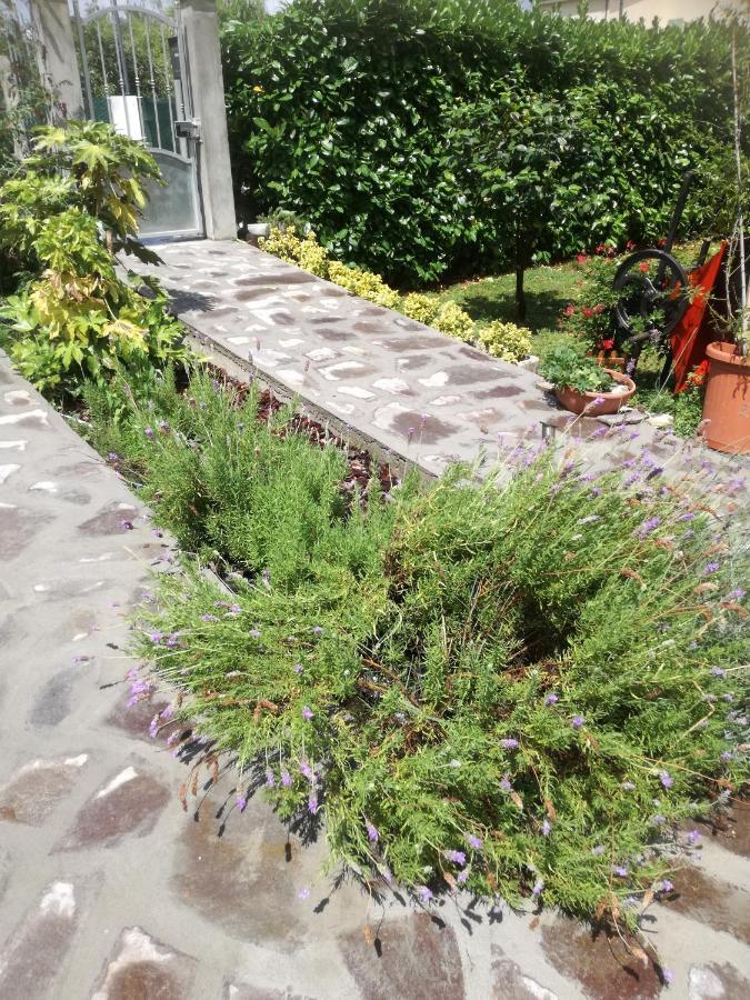 B&B La Damigiana Fioi Piano di Follo Buitenkant foto