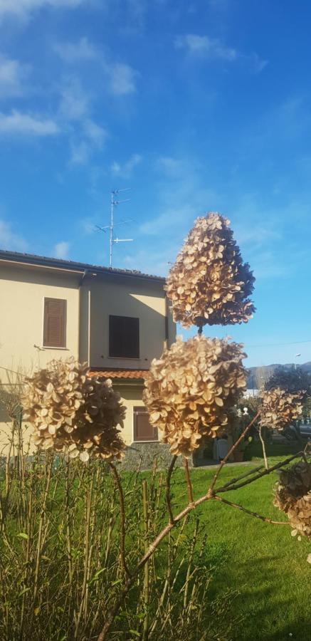 B&B La Damigiana Fioi Piano di Follo Buitenkant foto