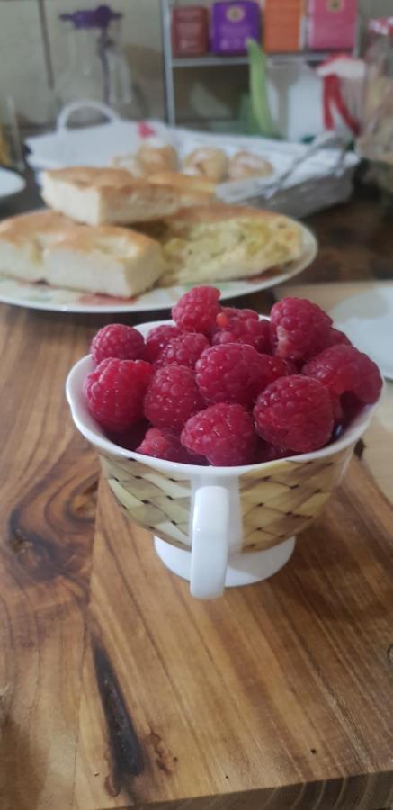 B&B La Damigiana Fioi Piano di Follo Buitenkant foto