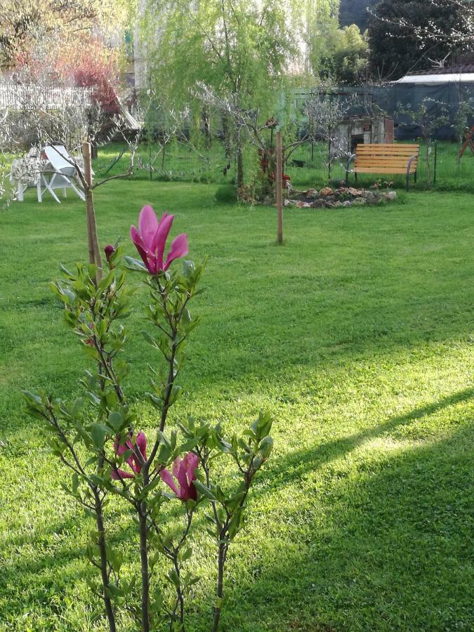 B&B La Damigiana Fioi Piano di Follo Buitenkant foto