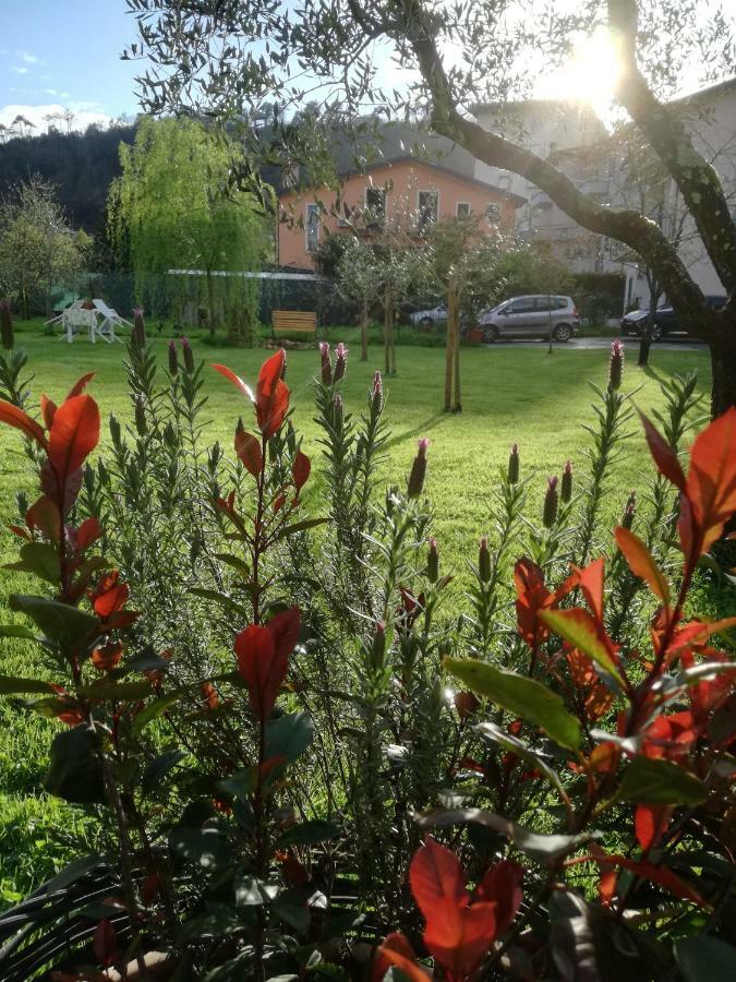 B&B La Damigiana Fioi Piano di Follo Buitenkant foto