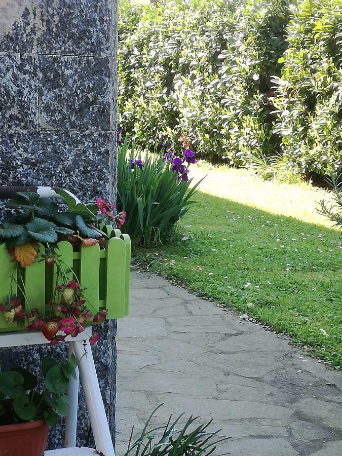 B&B La Damigiana Fioi Piano di Follo Buitenkant foto
