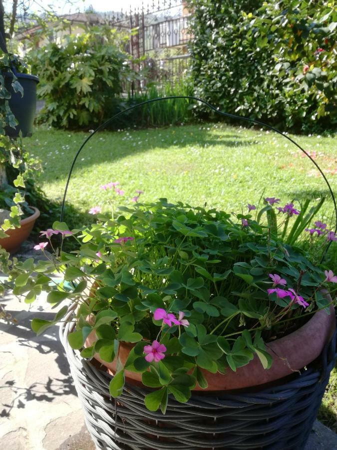 B&B La Damigiana Fioi Piano di Follo Buitenkant foto