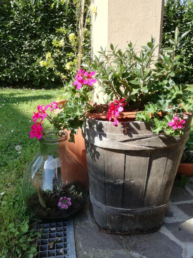 B&B La Damigiana Fioi Piano di Follo Buitenkant foto