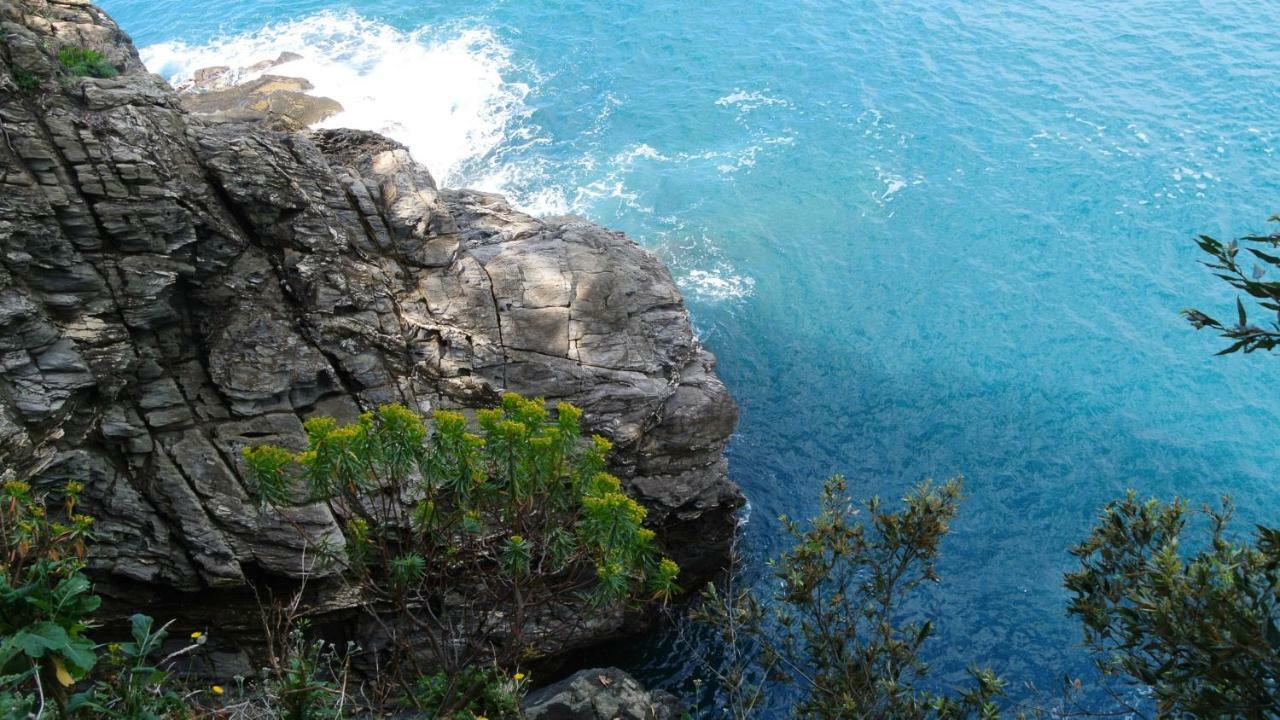 B&B La Damigiana Fioi Piano di Follo Buitenkant foto